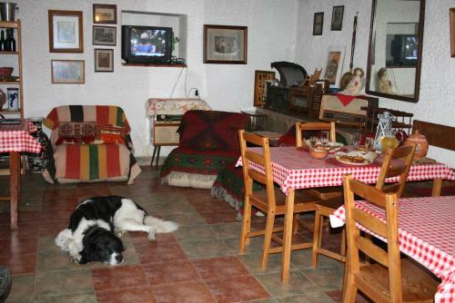 Chalet Kamenik