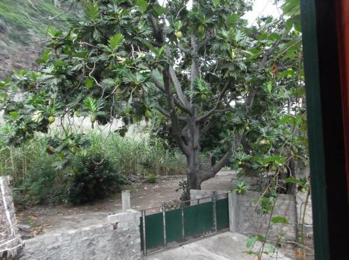 Bed & Breakfast Misurino