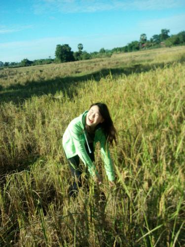 Sok Phen Homestay