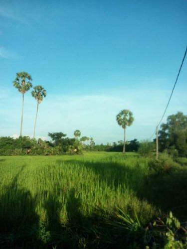Sok Phen Homestay