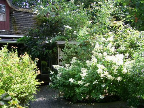 Hostal Garden House