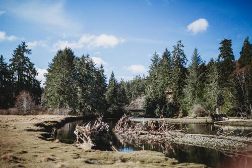 Motel Port Hardy Cabins