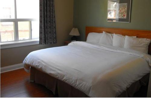 Hotel The Albert Street Inn