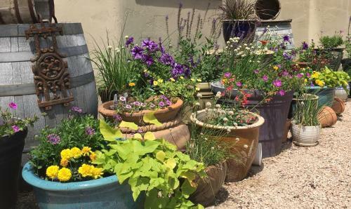 Bed & Breakfast Casa Colina