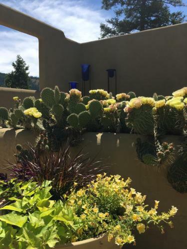 Bed & Breakfast Casa Colina