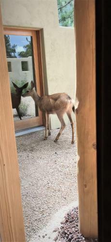 Bed & Breakfast Casa Colina