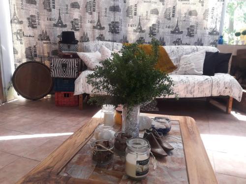 Hotel Pirque