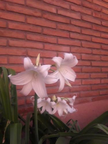 Hotel Pirque