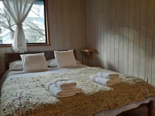 Albergue Hola Pucon