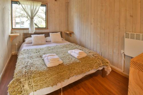 Albergue Hola Pucon