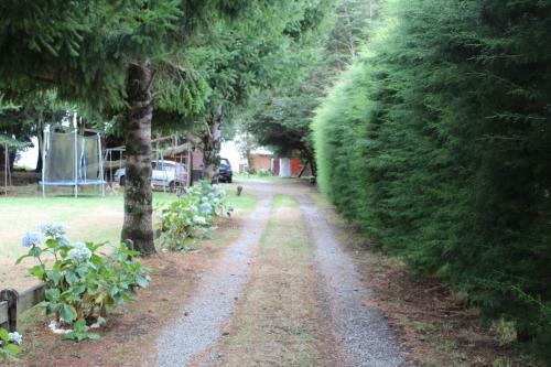 Caba�as Ruta Del Lago