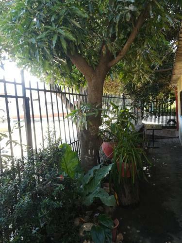 Hostal Familiar