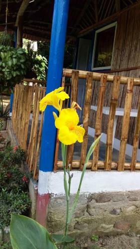 Hostal Teiruna