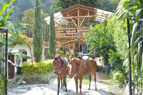 Hotel Villa De Barba Blanca