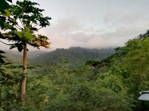 Agroturismo El Ed�n De Minca