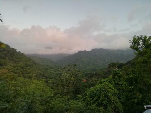 Agroturismo El Ed�n De Minca