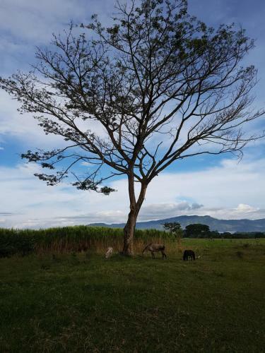 Finca Hotel Rancho Veracruz