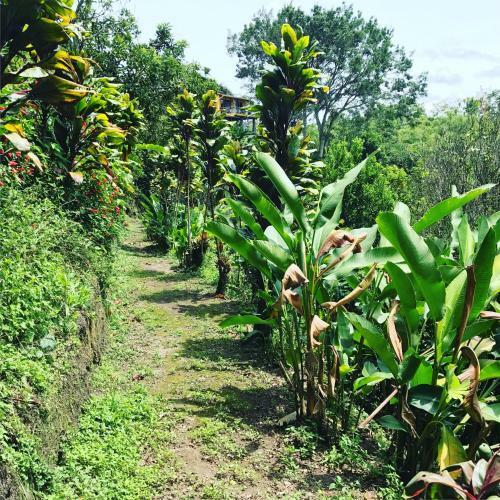 Bed & Breakfast Finca Machangara