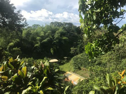Bed & Breakfast Finca Machangara