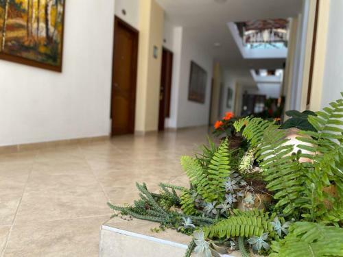 Hotel Abadias De Zapatoca