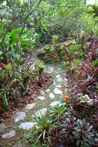El Jard�n De Los Colibr�es - Pereira, Risaralda