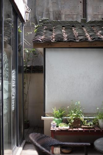 Hostal Lu Shu Homestay