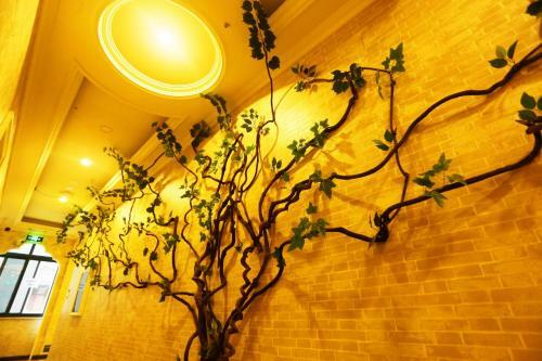 Posada Wutongli Youth Hostel