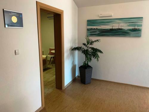 Apartments Blue Lagoon
