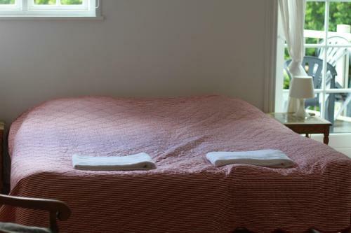 Hotel Stege Nor
