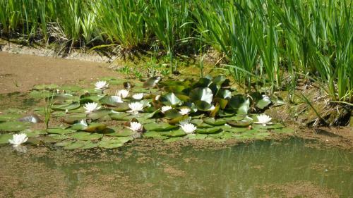 Agroturismo Lille Degnb�l