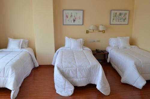 Hotel Tambo Real