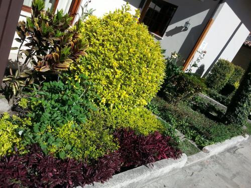 Hotel Hostal Calle Angosta Ecuador
