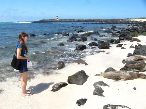 Albergue Ocean Dreams