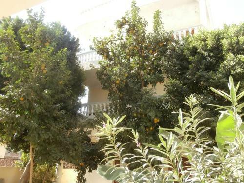 Nile View Hotel