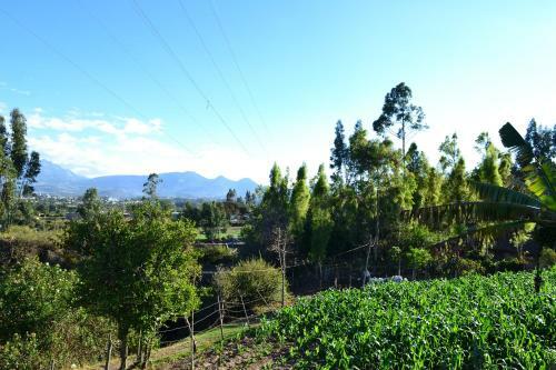 Agroturismo Runa Tupari Homestay Lodge