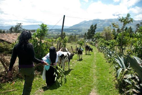 Agroturismo Runa Tupari Homestay Lodge