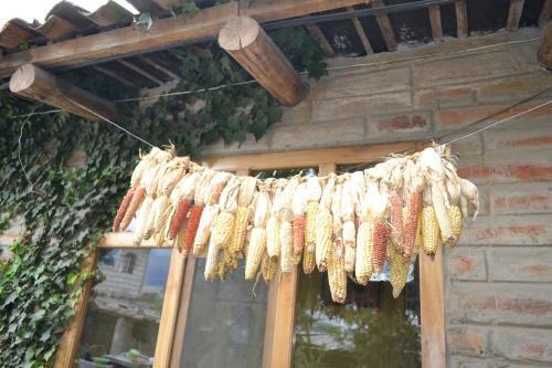 Agroturismo Runa Tupari Homestay Lodge