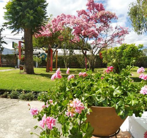 Chester�s B&B