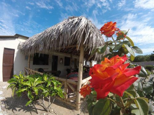 Monta�ita Garden Hostal