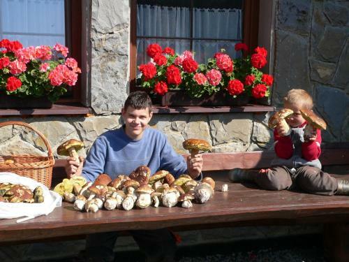 Hostal Pension Tatry