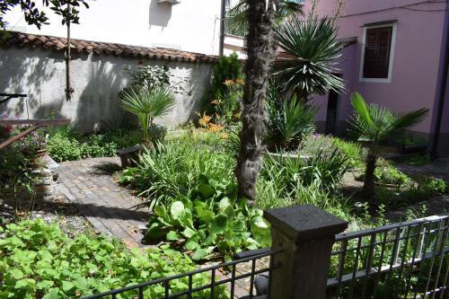 Hostel Secret Garden