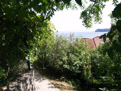 Apartments Lavanda Fiesa