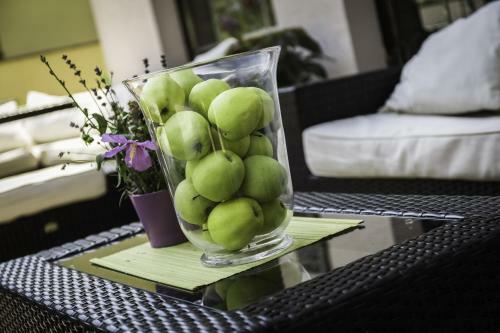 Eco Friendly Hotel D�lia