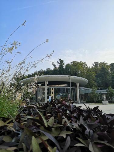 Apartments Ilsole Vila Golf