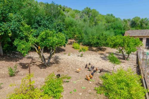 Villa Ses Pedres
