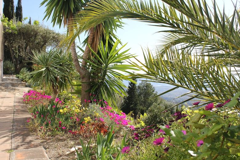 Bed & Breakfast El Nispero Dulce