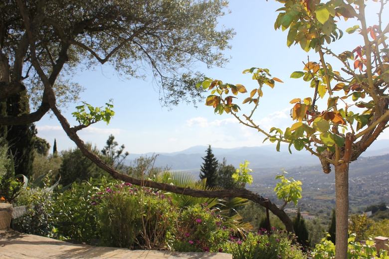 Bed & Breakfast El Nispero Dulce