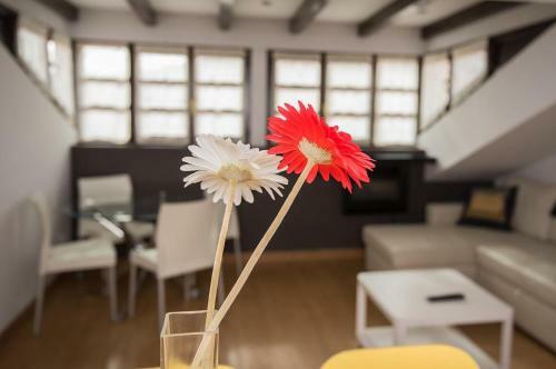 Apartments At Llanes & Golf