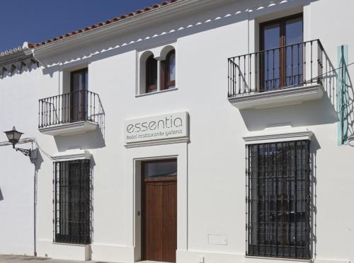 Hotel Galer�a Essentia