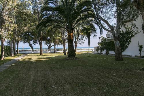 Apartamento Ciudad Blanca 1